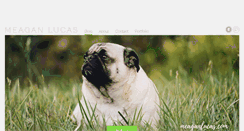 Desktop Screenshot of meaganlucas.com